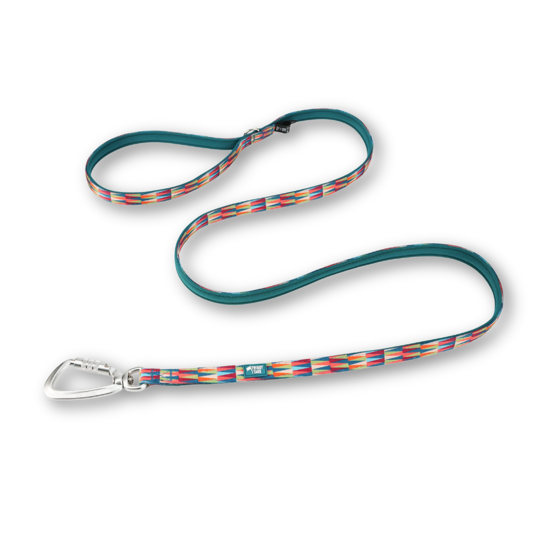 Twiggy Tags Lite Dog Lead