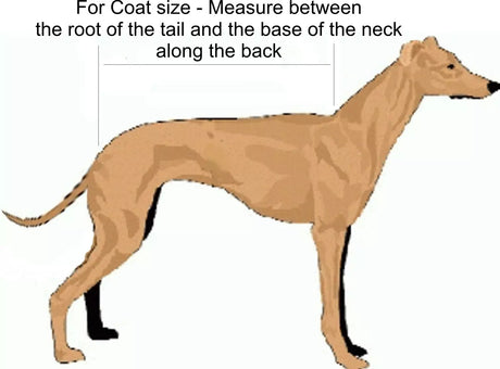 Animate No Neck - Waterproof Padded Harness Coat (No Neck)