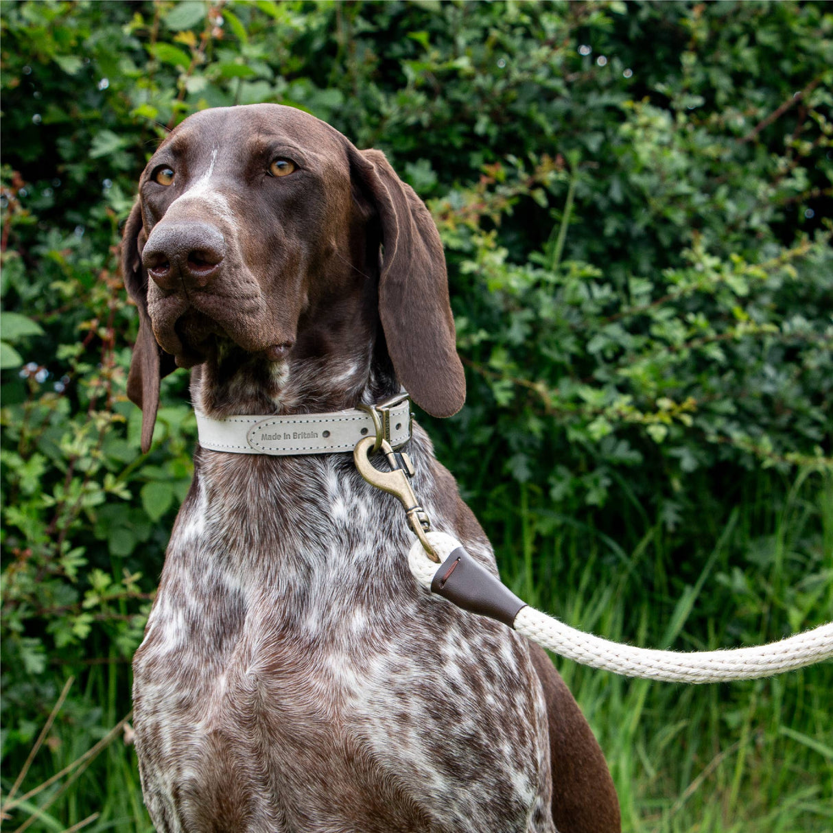 Ancol Heritage Collection Natural Cotton Rope Lead 150 x 1.5cm