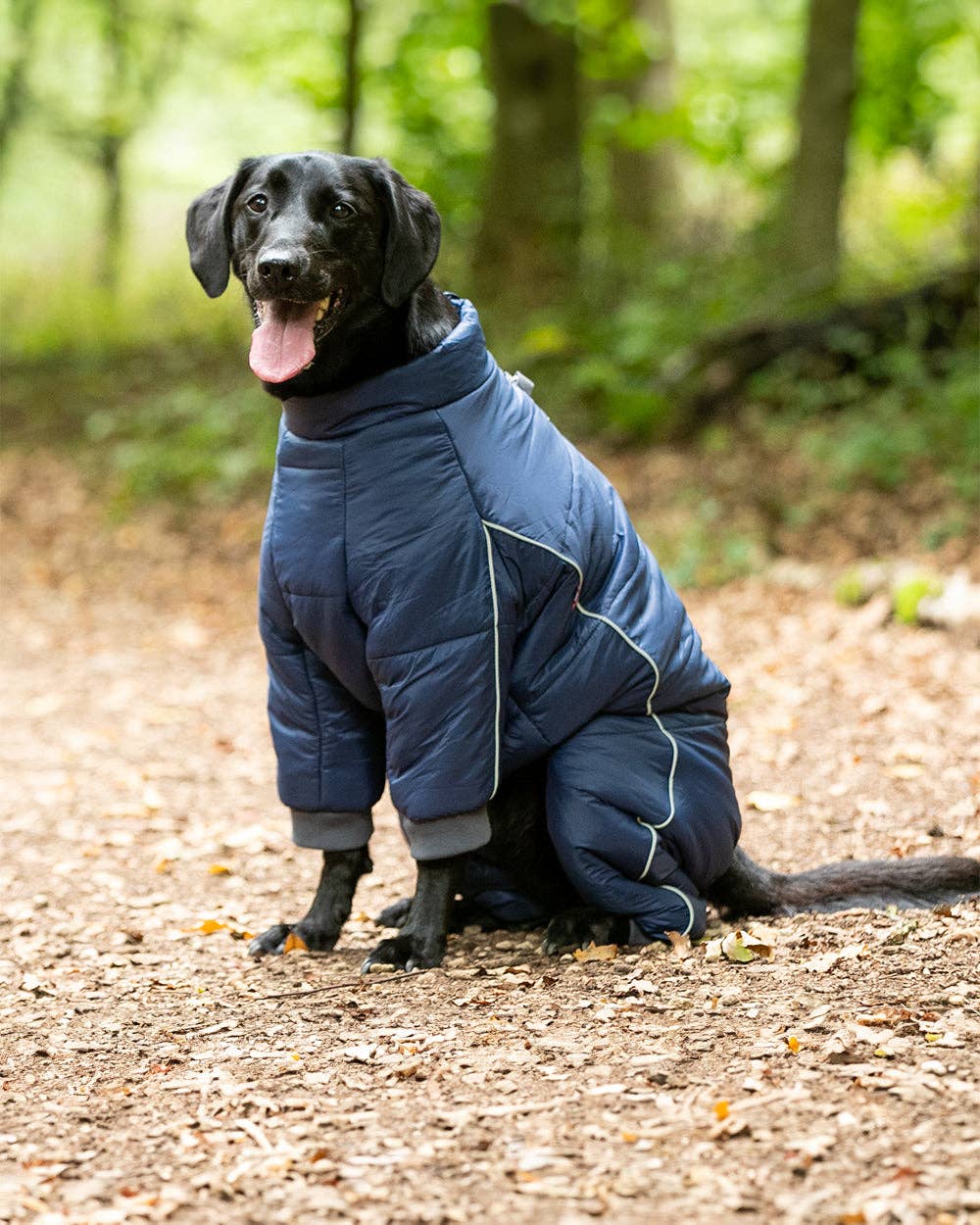 Hugo&Hudson Outdoor Winter Dog Suit - Navy