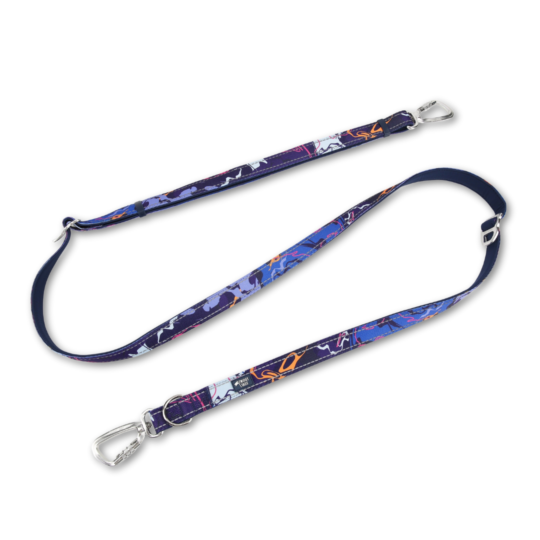 Twiggy Tags Multi-Way Lead