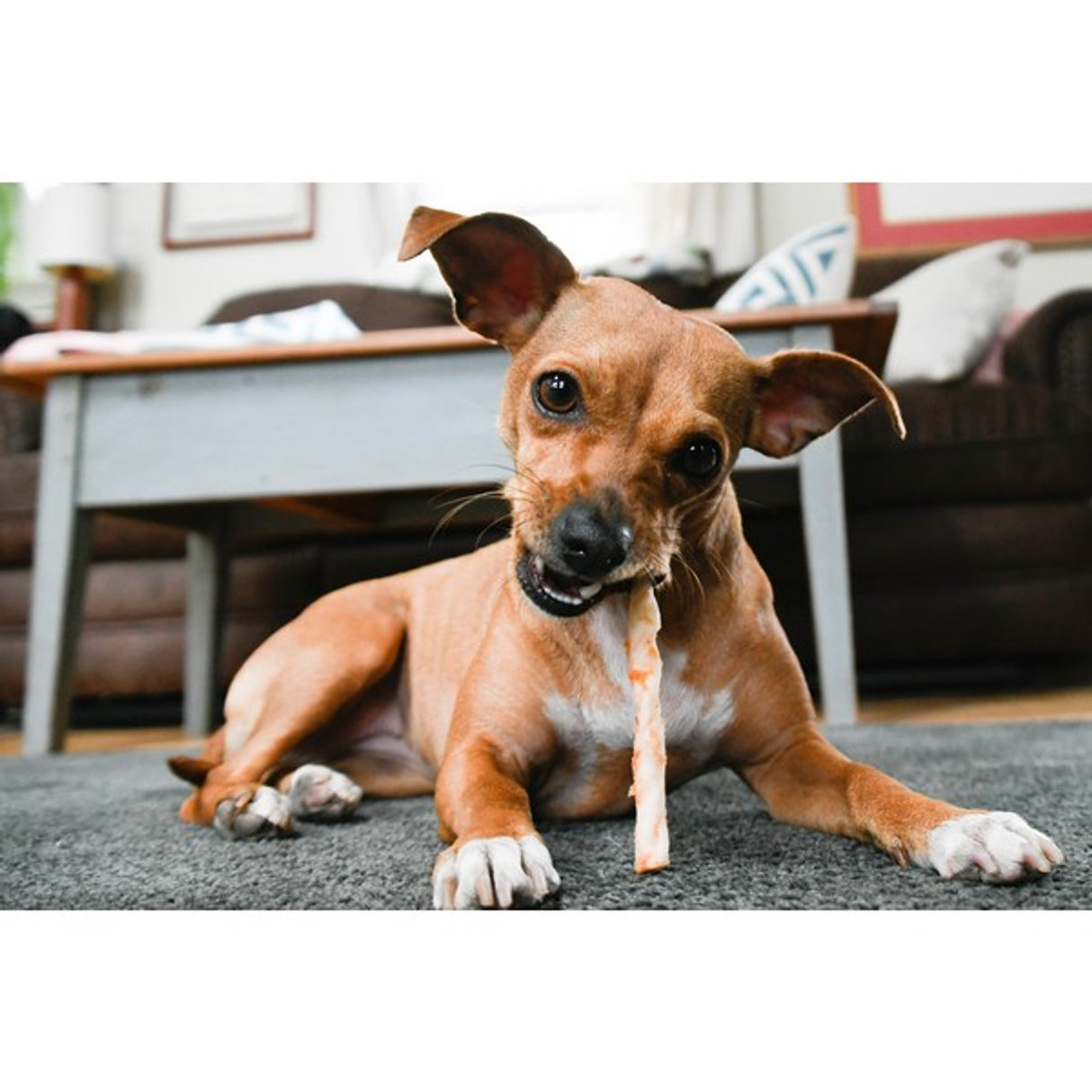 Earth Animal No Hide Stix Chicken