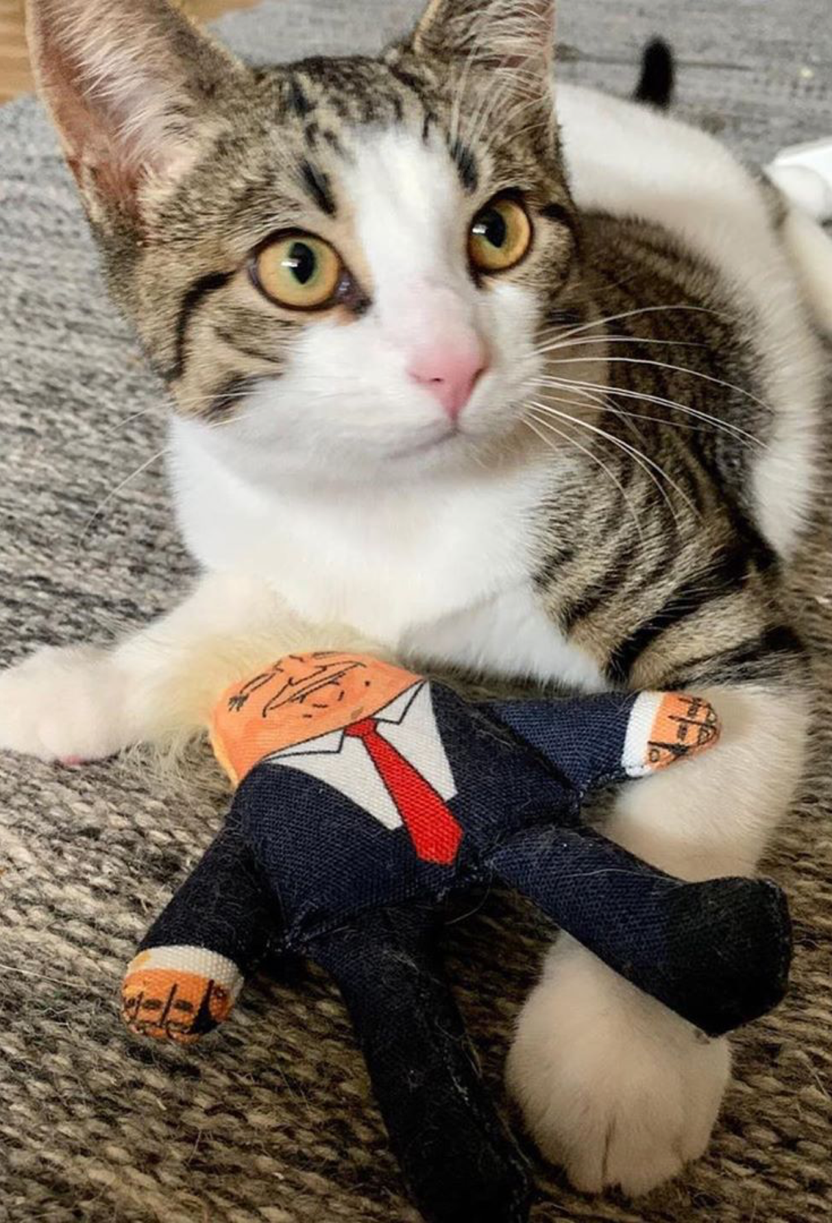 Pet Hates Toys Donald Cat Toy