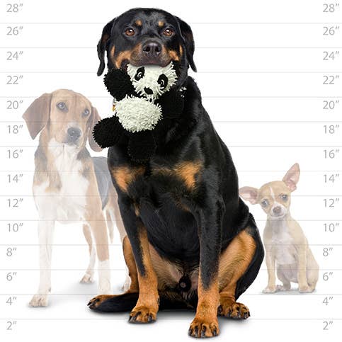 Mighty Microfiber Ball Med Panda, Durable, Squeaky Dog Toy