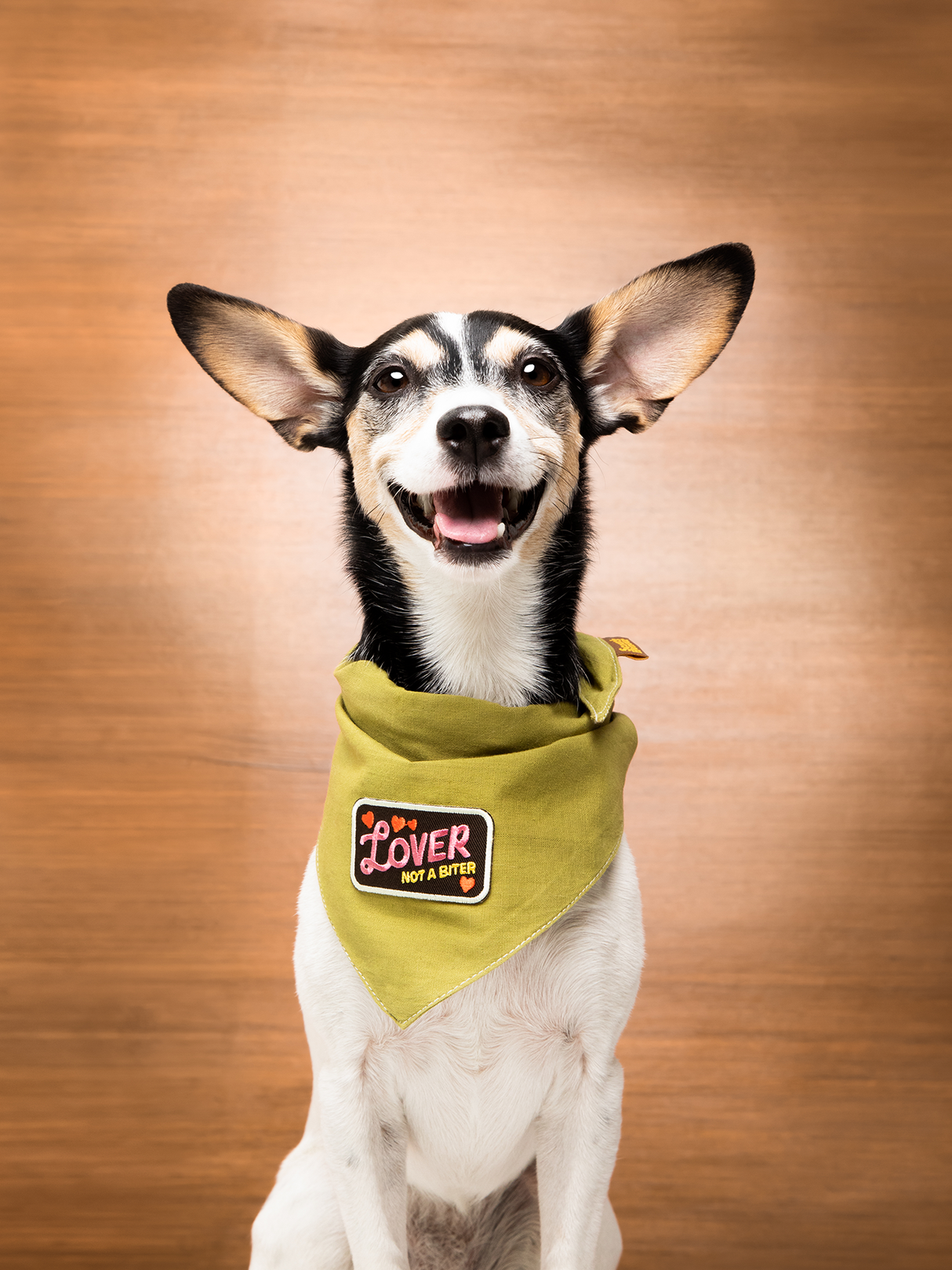 Scout's Honour Lover not a Biter iron-on patch for dogs