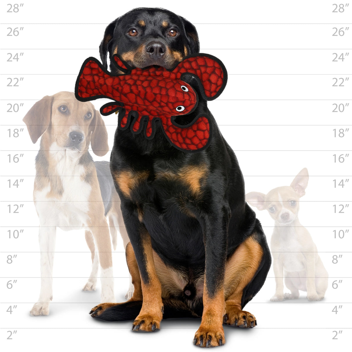 Tuffy Ocean Larry Lobster