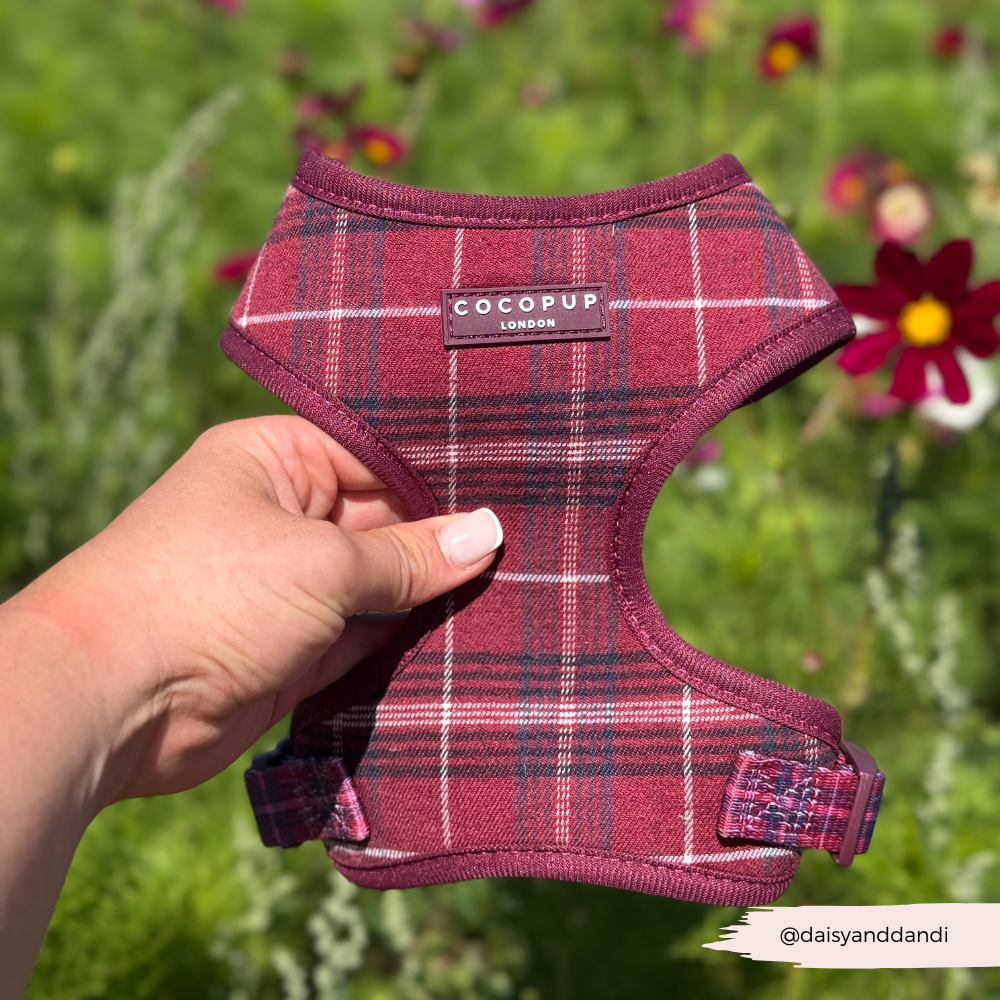 Cocopup Mulberry Plaid Adjustable Neck Harness
