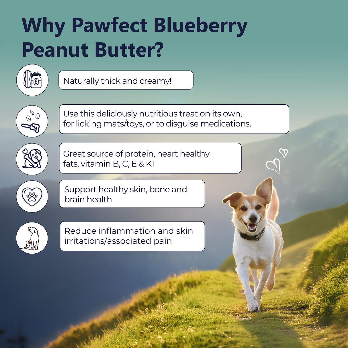 Pawfect Peanut Butter for Dogs: Blueberry & Hempseeds