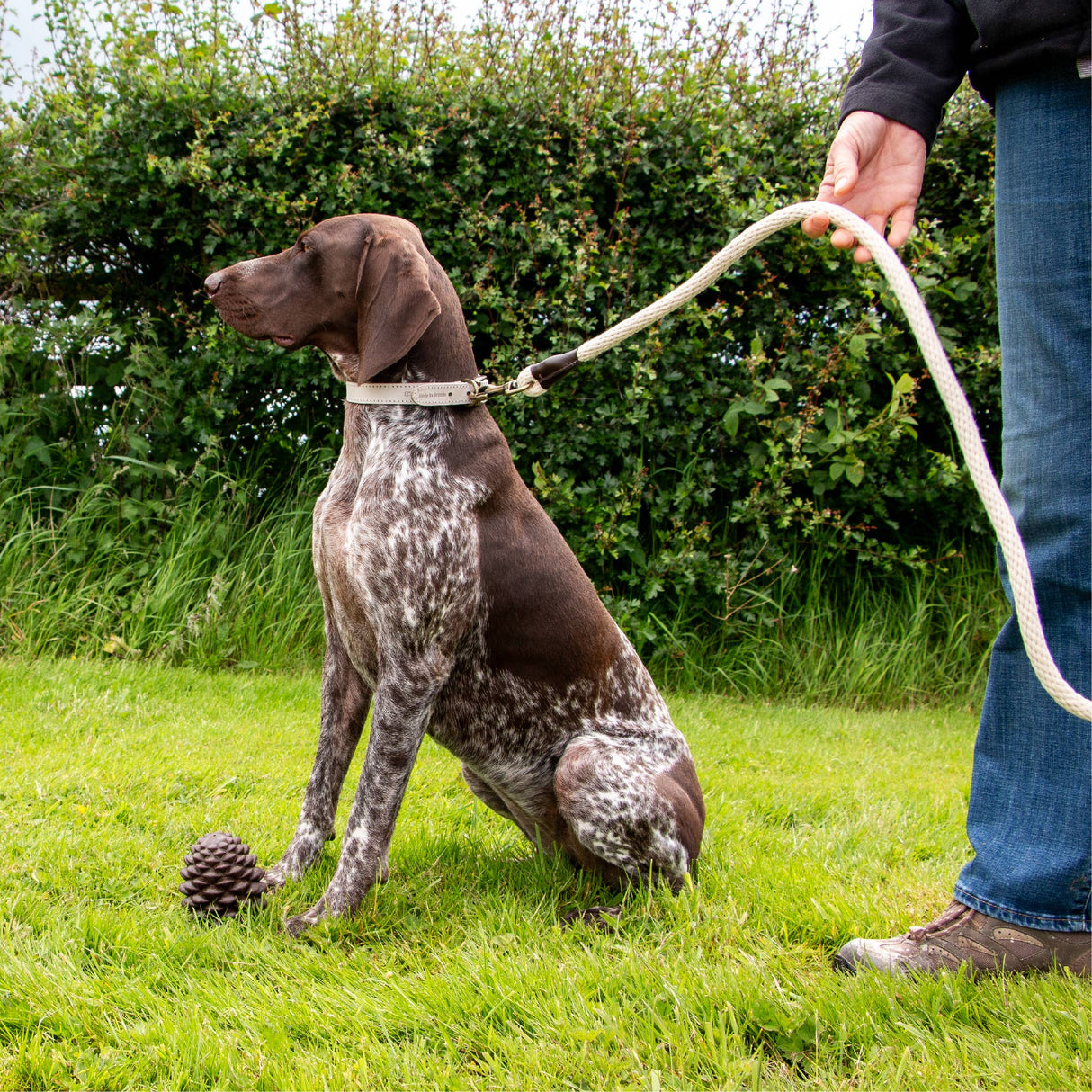 Ancol Heritage Collection Natural Cotton Rope Lead 150 x 1.5cm