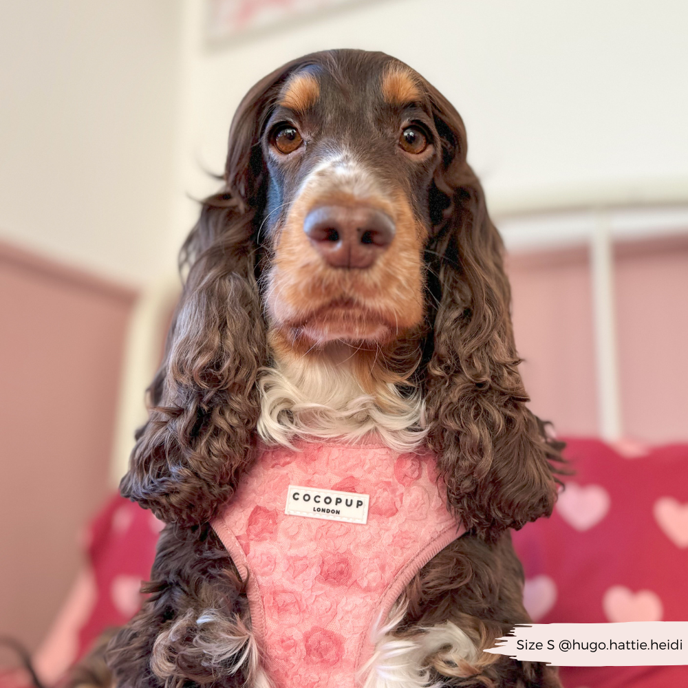 Cocopup Peony Pup Adjustable Neck Harness