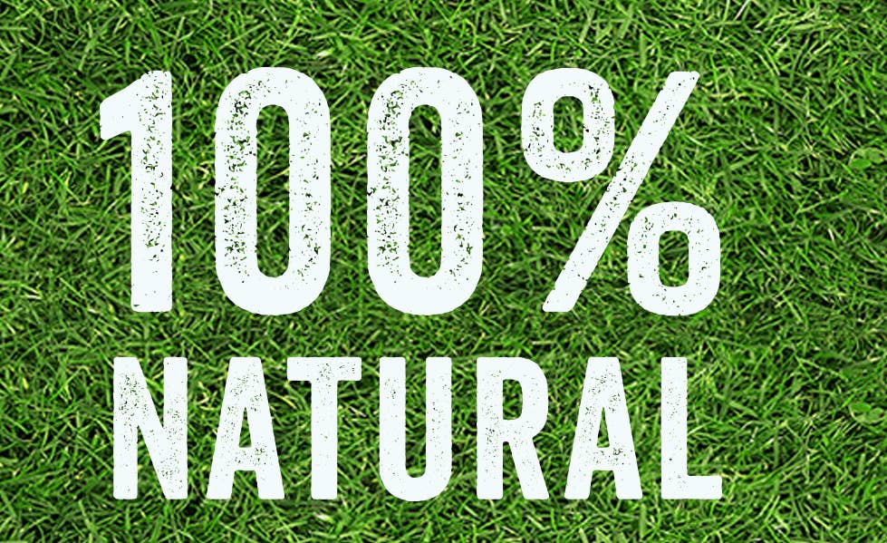 Beloved Dog Rocks - Stop pet urine burns on grass...naturally!