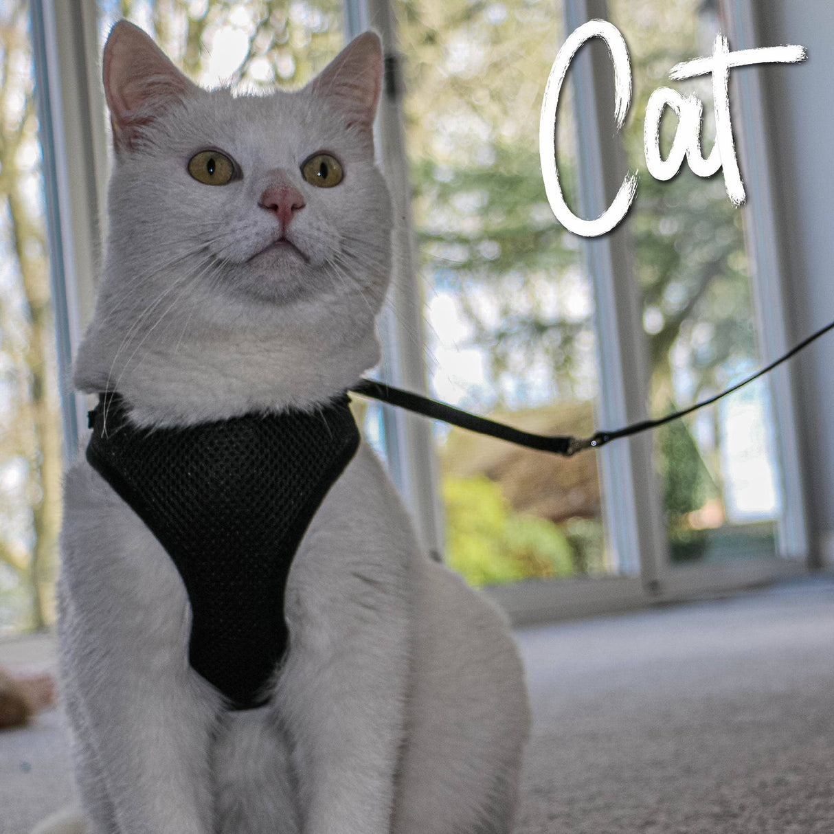 Ancol Soft Mesh Cat Harness & Lead - Black