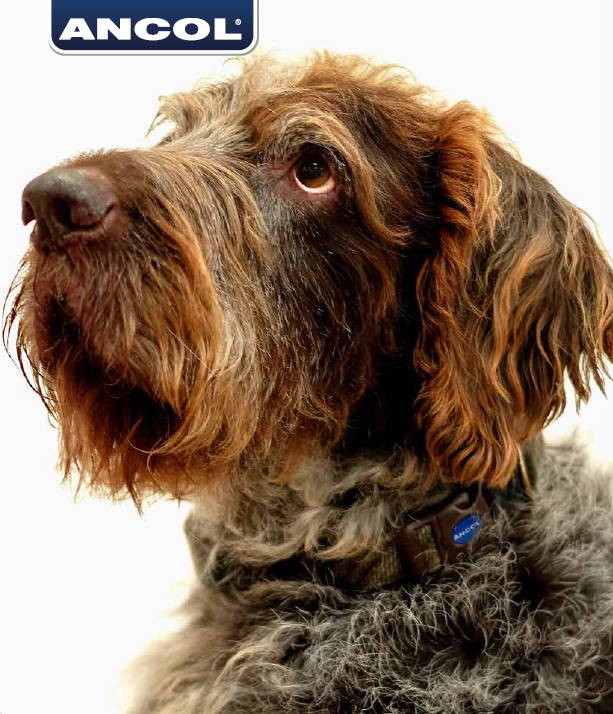 Heritage Collection Herringbone Collar