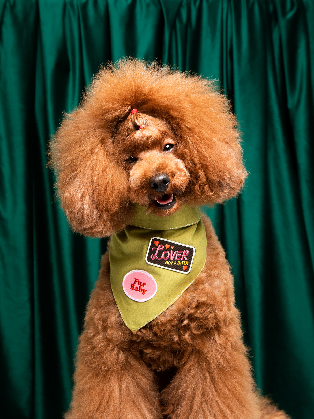 Scout's Honour Lover not a Biter iron-on patch for dogs