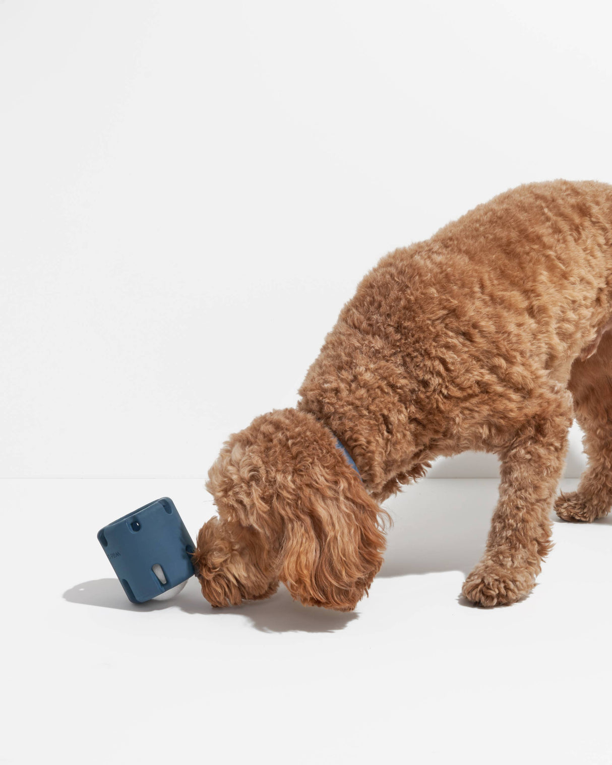 Wild One Tennis Tumble Interactive Dog Toy