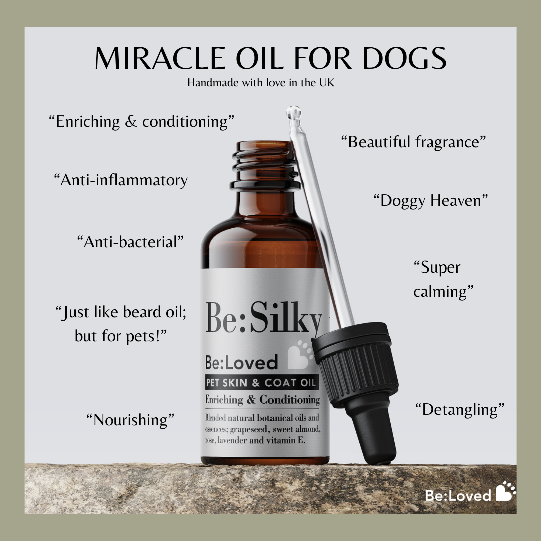 Beloved Be:Silky, Detangling Fragrance & Massage Oil For Dogs