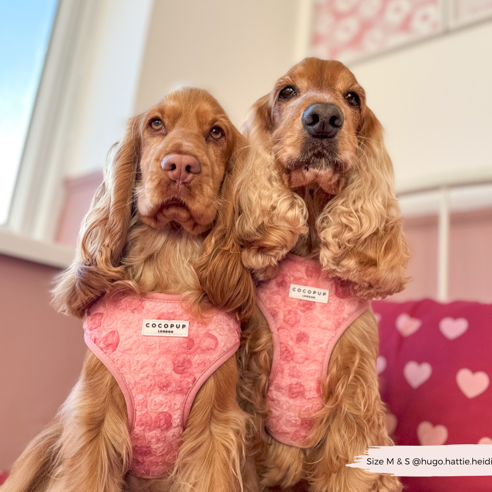 Cocopup Peony Pup Adjustable Neck Harness