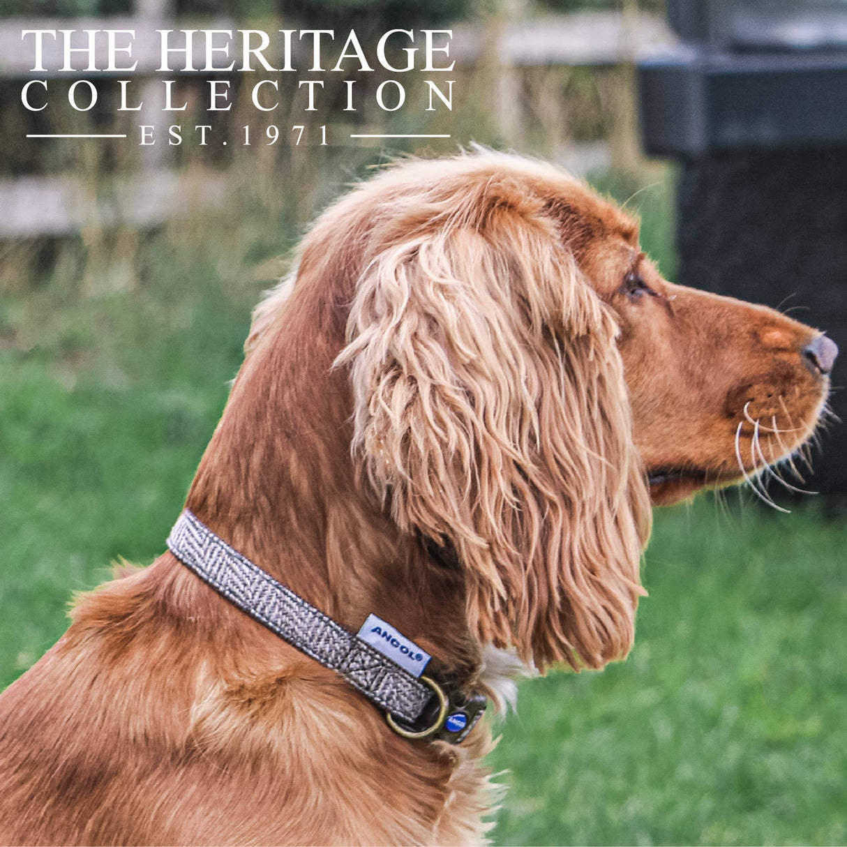 Heritage Collection Herringbone Collar