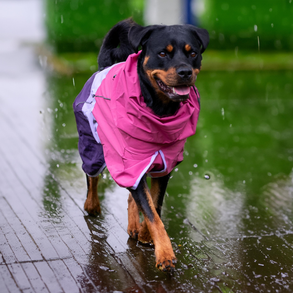 Spark Paws Breatheshield™ Dog Raincoat - Pink Lilac Purple