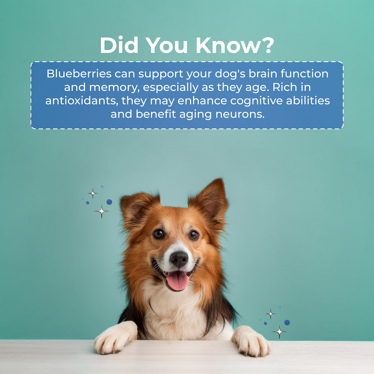 Pawfect Peanut Butter for Dogs: Blueberry & Hempseeds