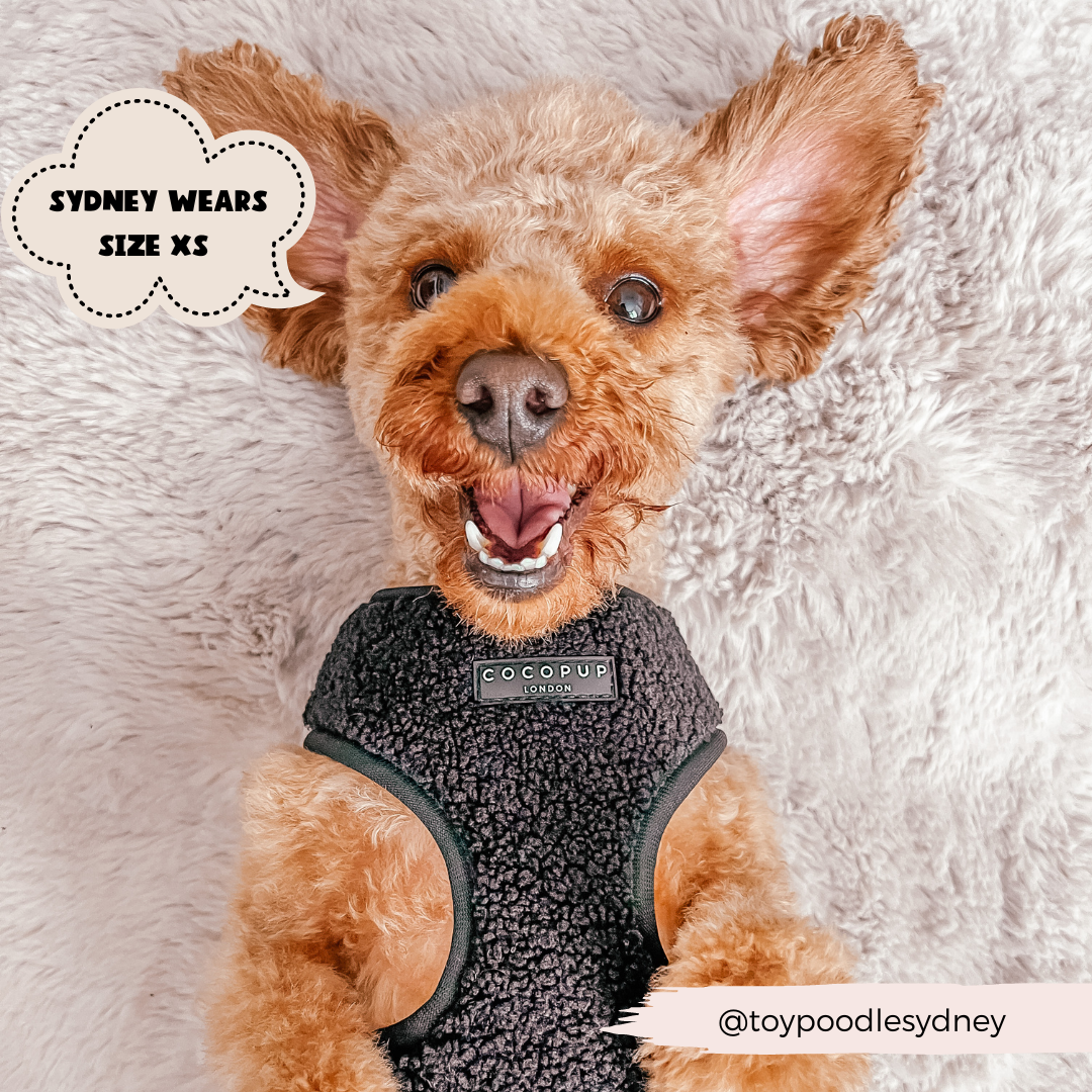 Cocopup Teddy Adjustable Dog Harness
