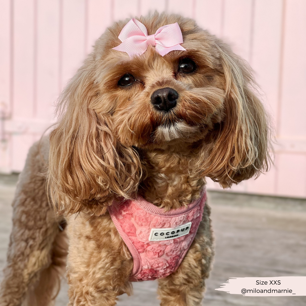 Cocopup Peony Pup Adjustable Neck Harness