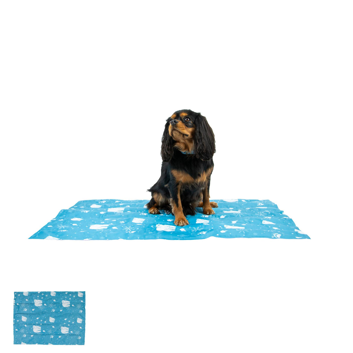 Ice Paws Cooling Mat Small or Large