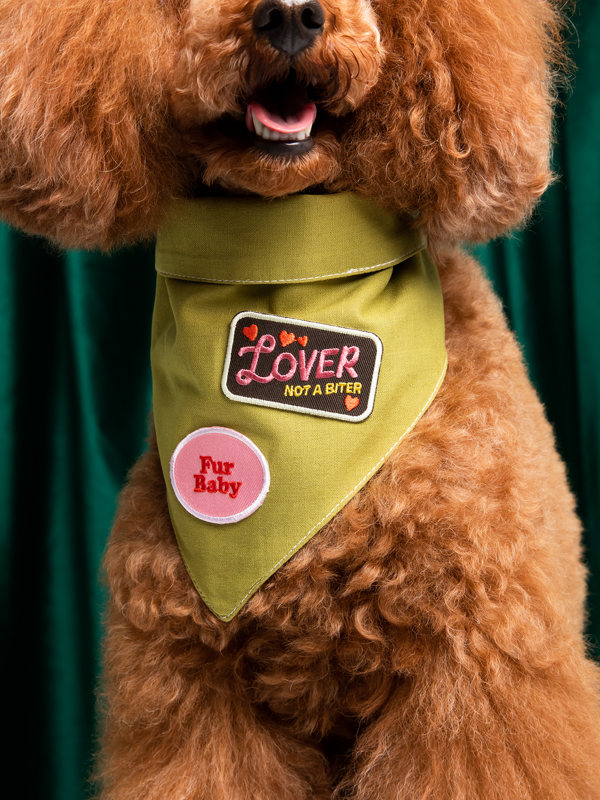 Scout's Honour Lover not a Biter iron-on patch for dogs