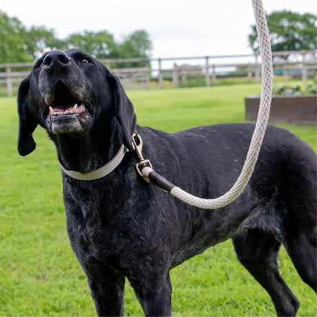 Ancol Heritage Collection Natural Cotton Rope Lead 150 x 1.5cm