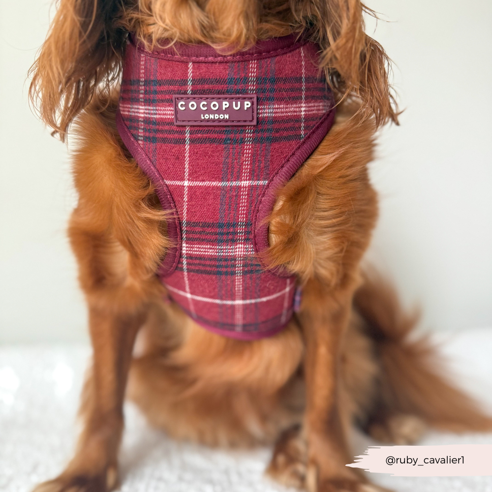 Cocopup Mulberry Plaid Adjustable Neck Harness