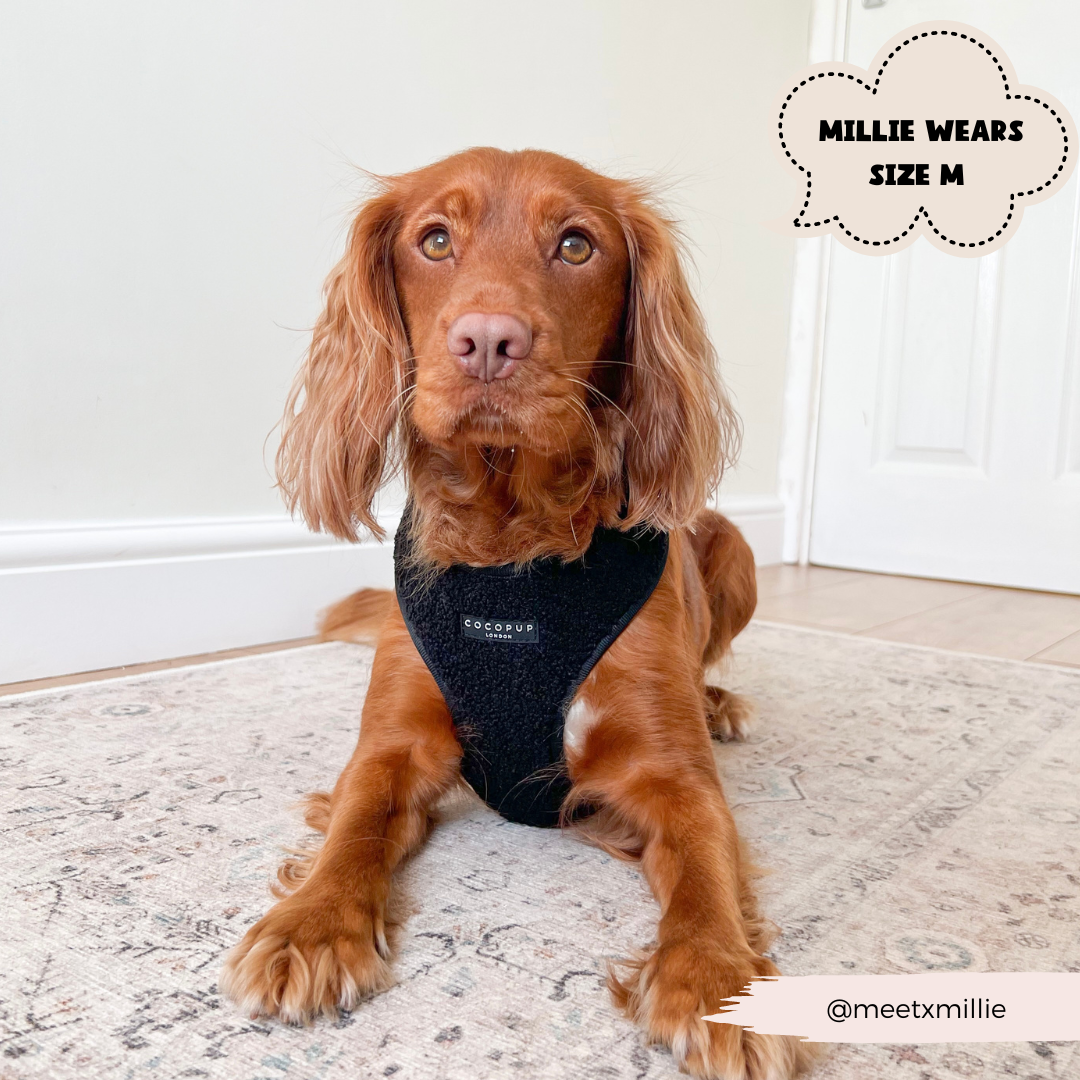 Cocopup Teddy Adjustable Dog Harness