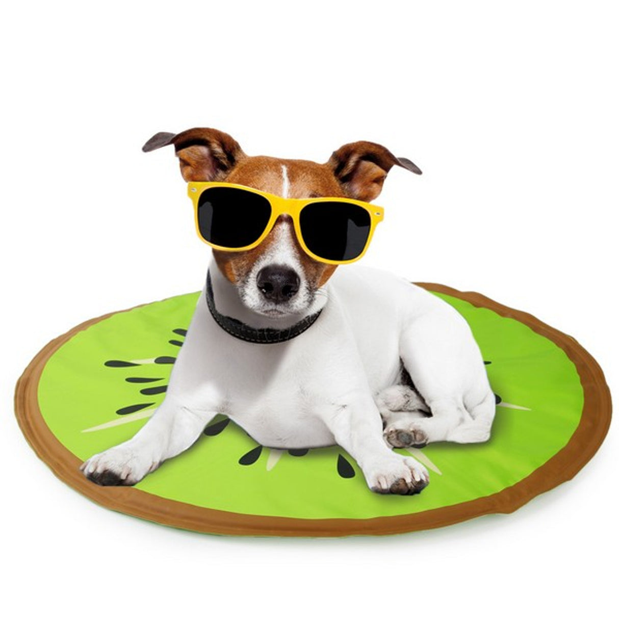 Dog wearing sunglasses on a green kiwi shaped cooling mat