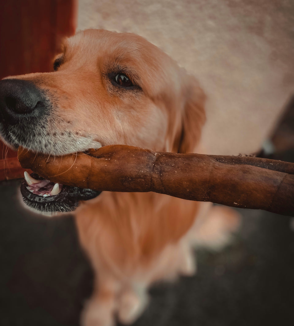 Anco Naturals Camel Rolls Large