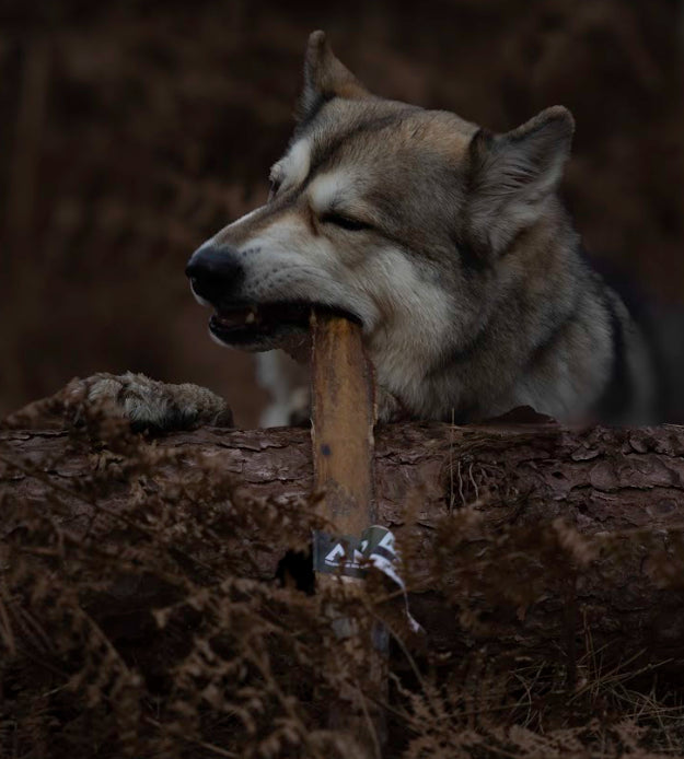 Anco Naturals Giant Buffalo Biltong