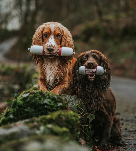 Anco Roast Beef Pate 200g