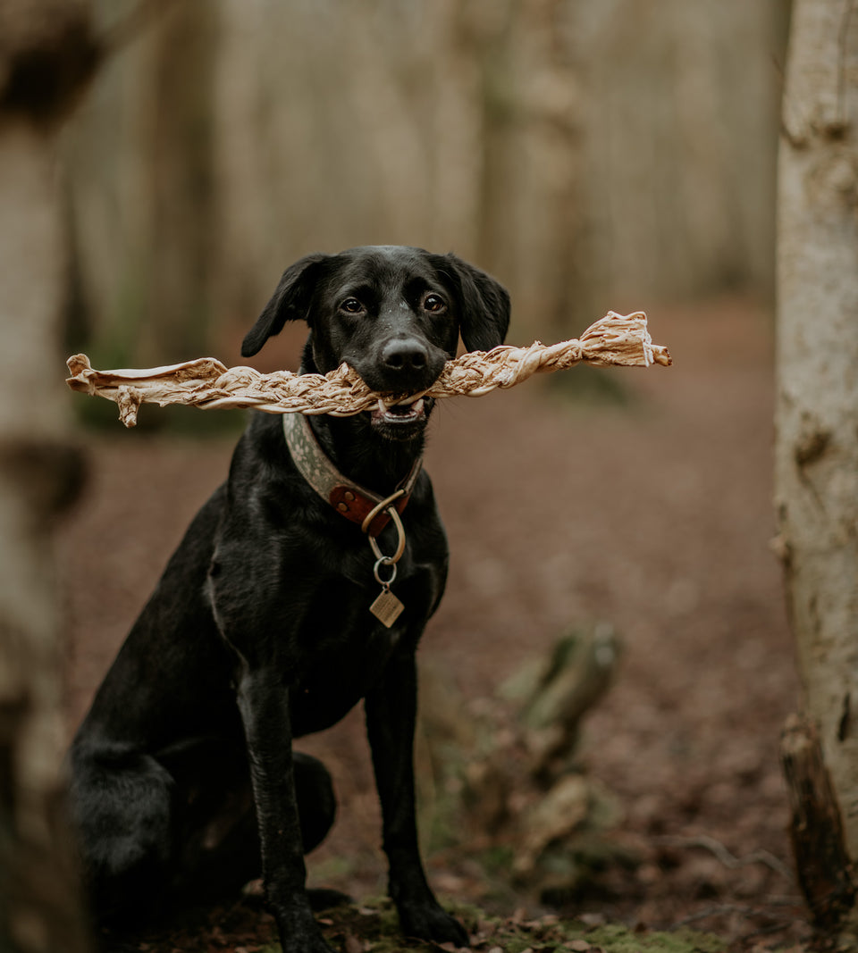 Anco Naturals Mega Beef Braid - Price Per 1 Piece