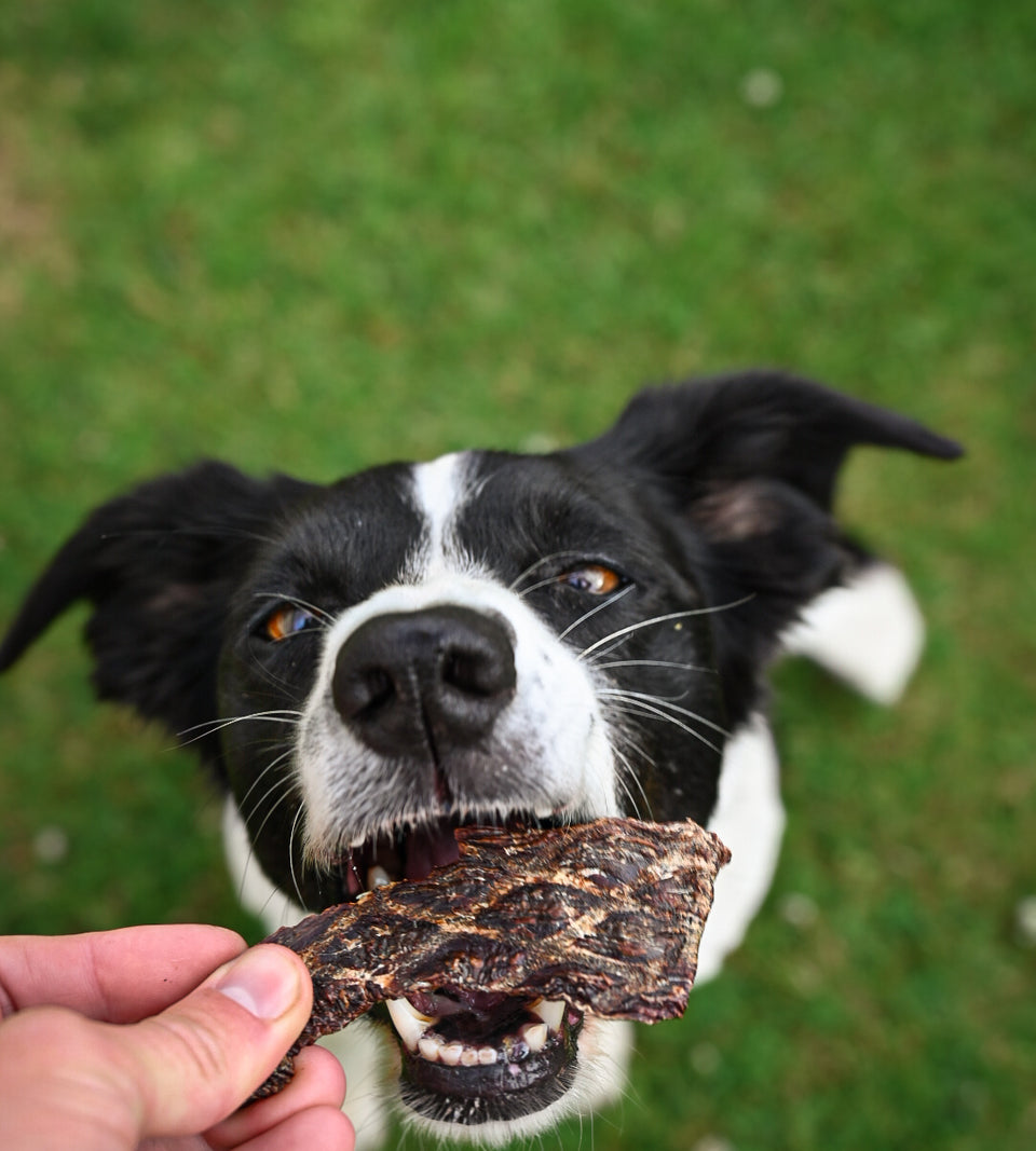 Ostrich Prime Steaks  - Price Per 1 Gram