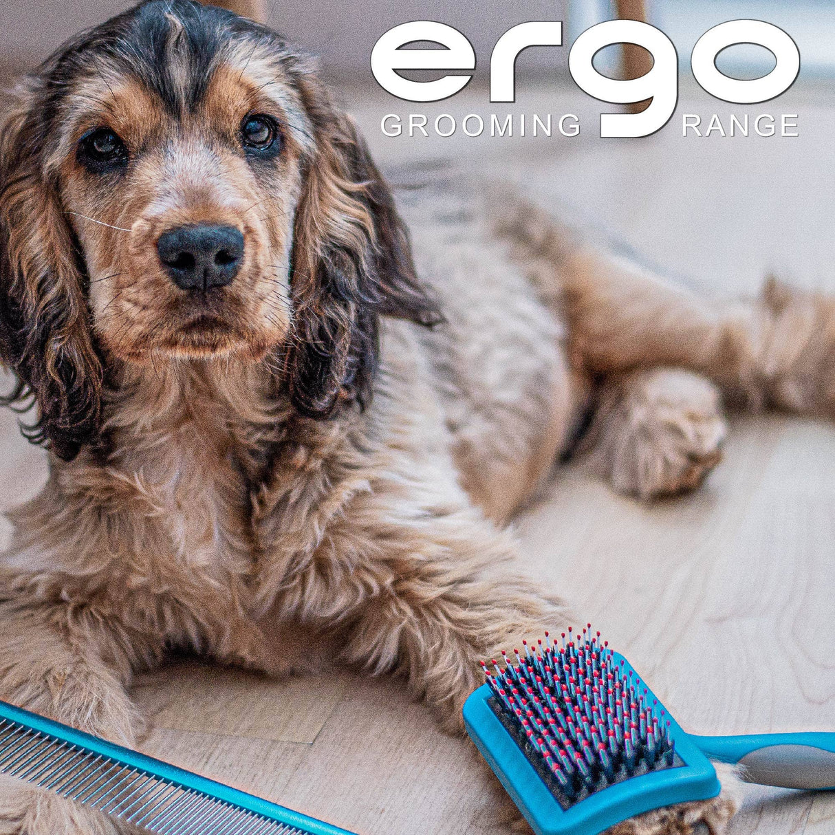 Ancol Ergo Hedgehog Slicker Dog Brush Medium