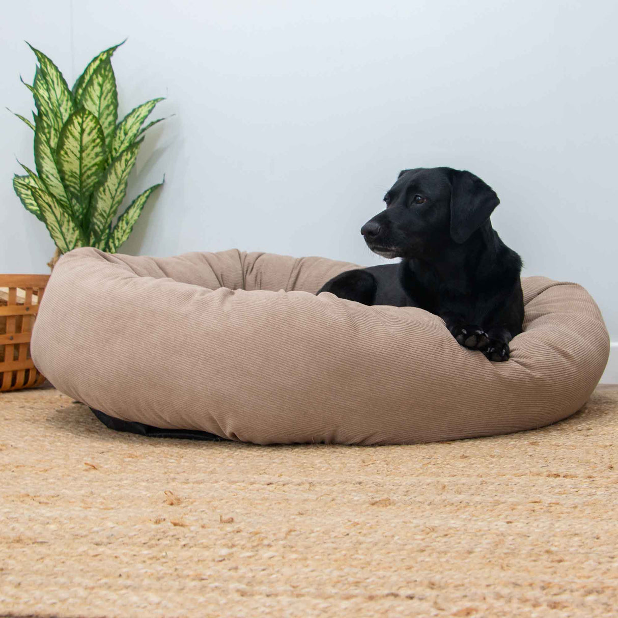 Ancol Sleepy Paws Luxury Corduroy Donut Dog Bed Oat