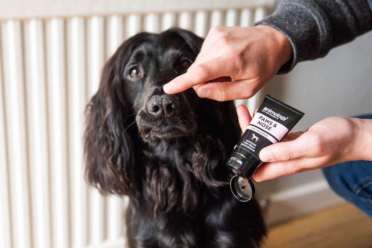 Animology Paws & Nose Balm 50ml