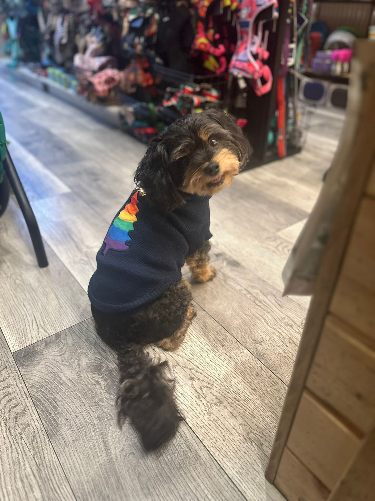 Christmas Dog Jumper - Rainbow Christmas Tree