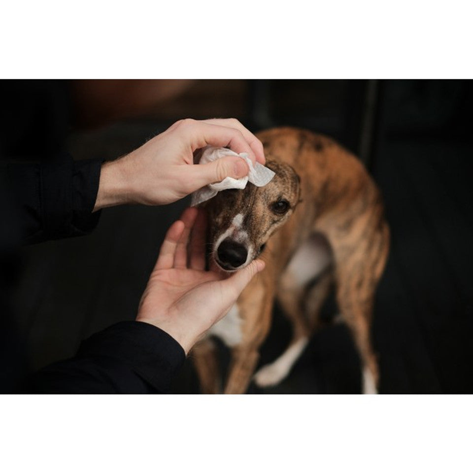 Beco Bamboo Travel Wipes Unscented