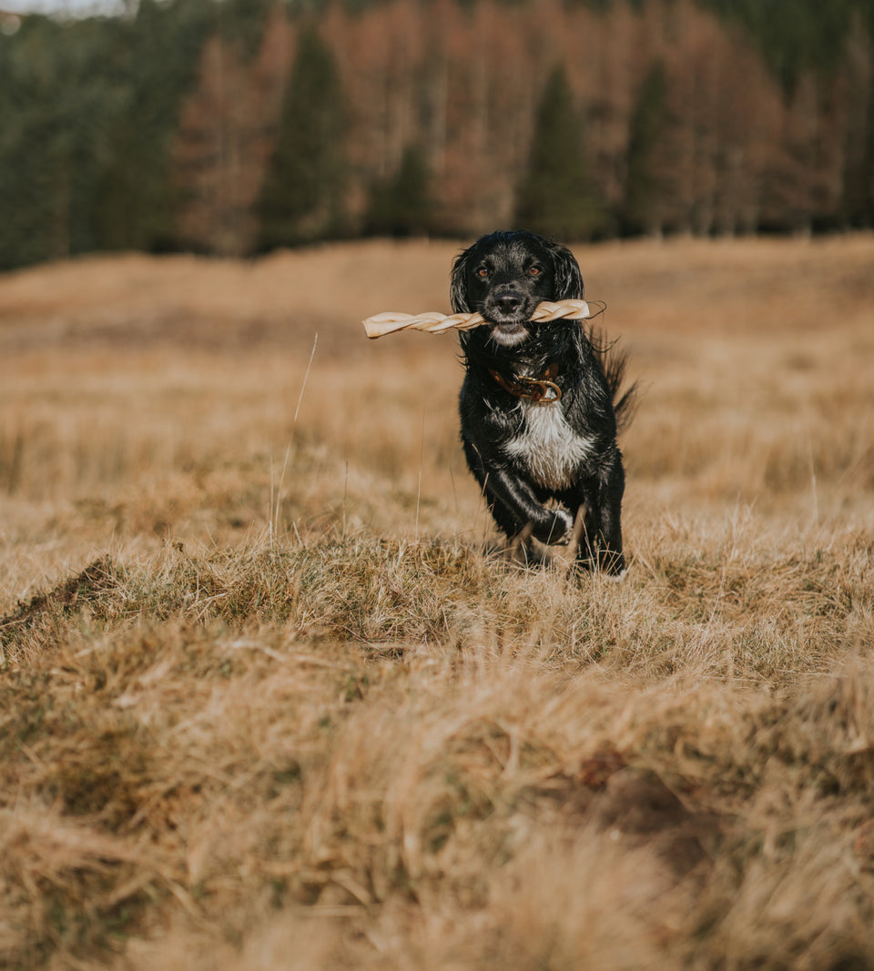 Anco Beef Braid Dog Chew Medium - Price Per 1 Piece