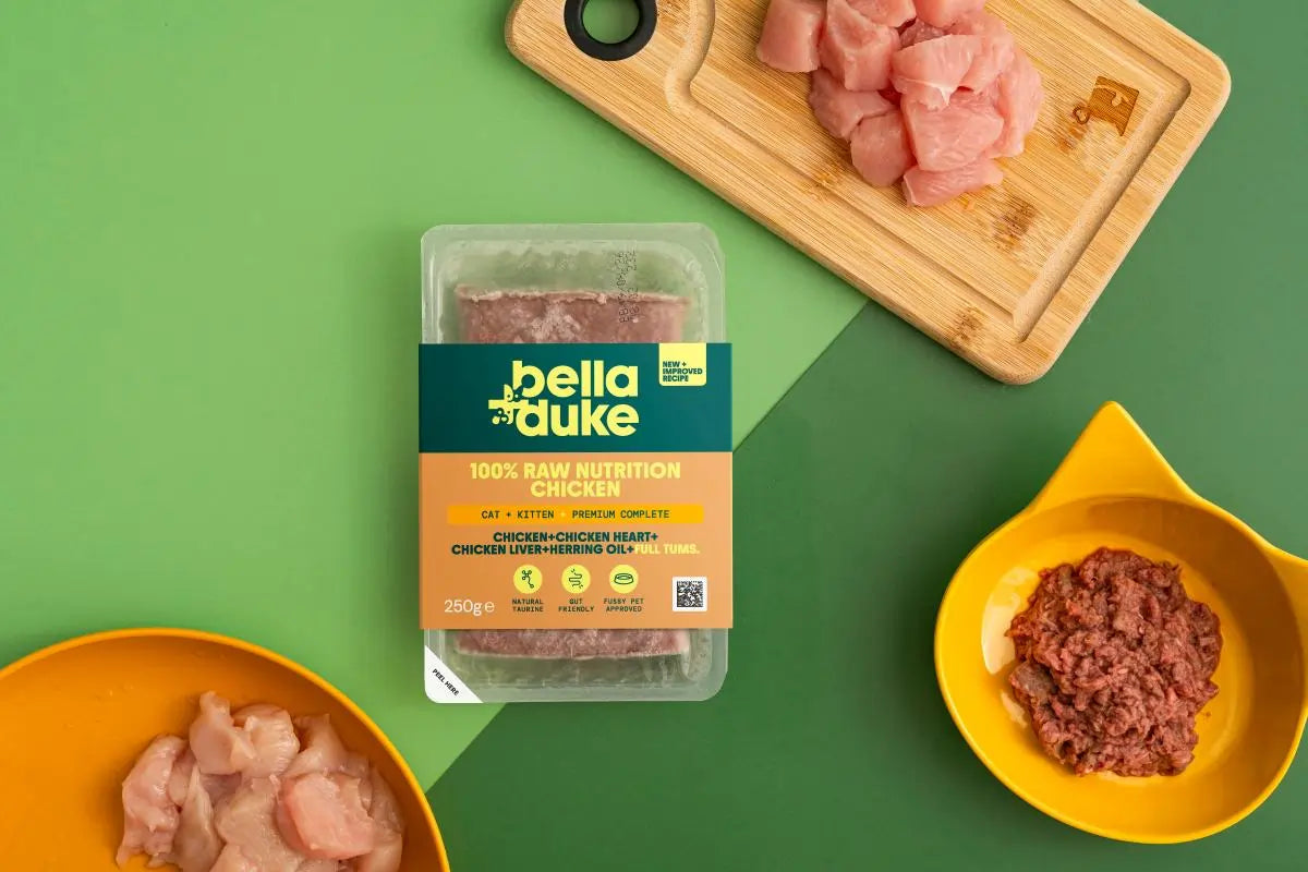 Bella and Duke Raw Cat Food Chicken
