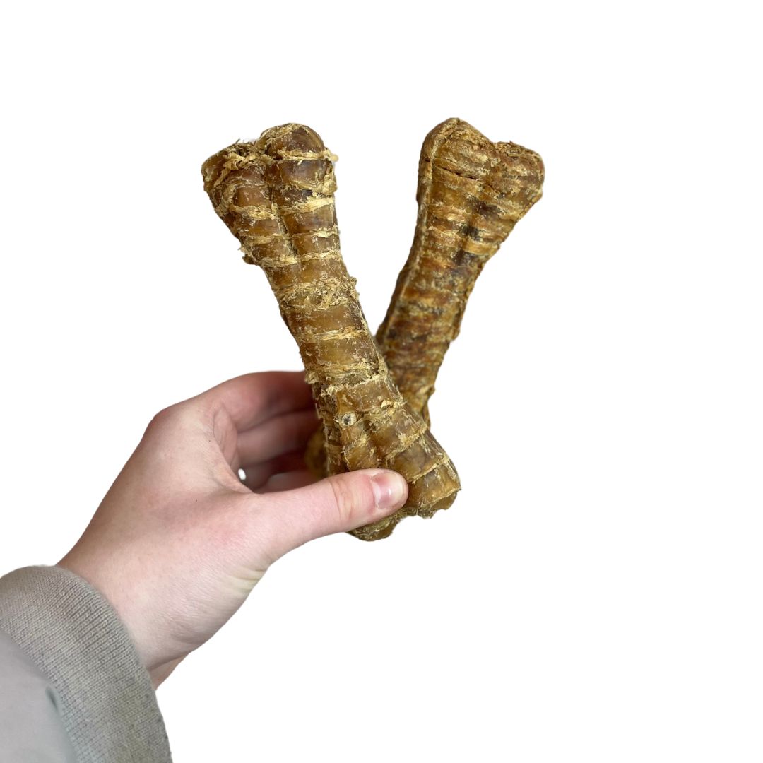 Buffalo Trachea Bone Dog Chew