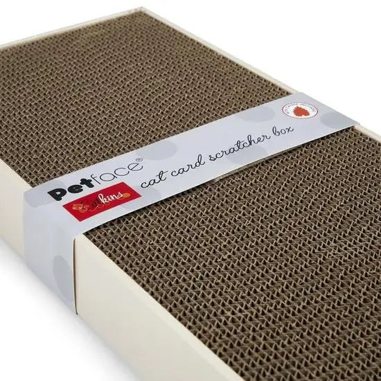 Petface Catkins Cat Card Stratcher Box
