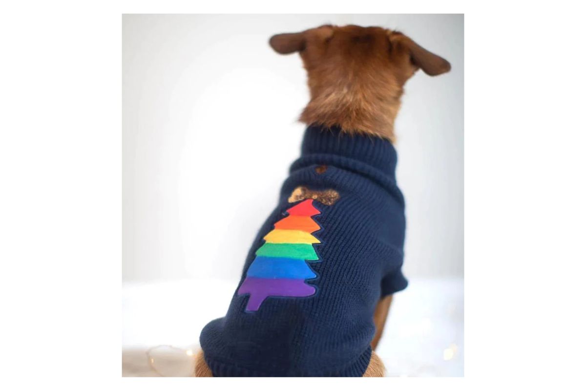 Christmas Dog Jumper - Rainbow Christmas Tree
