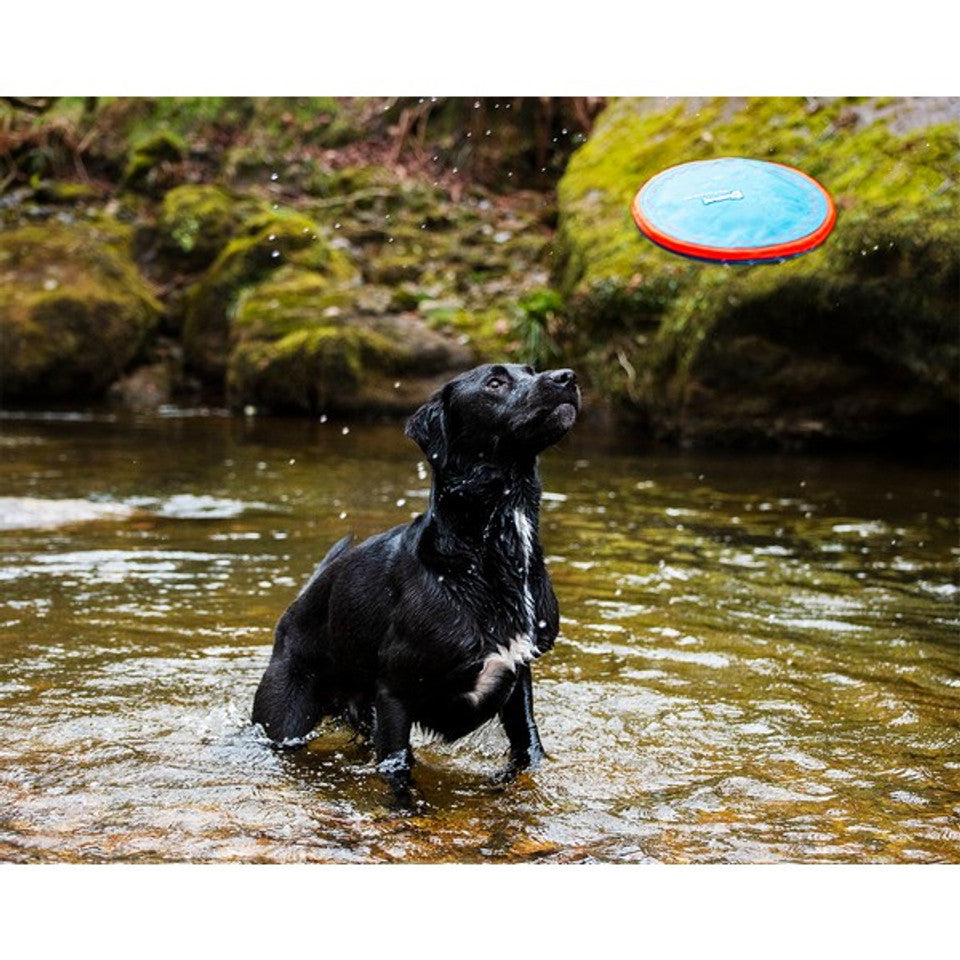 Chuckit! Paraflight Dog Frisbee