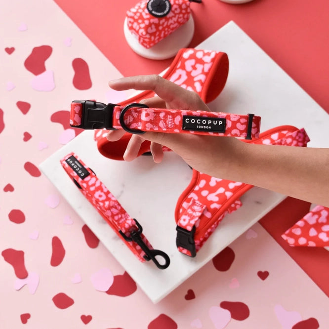 Cocopup Pink & Red Leopard Dog Collar