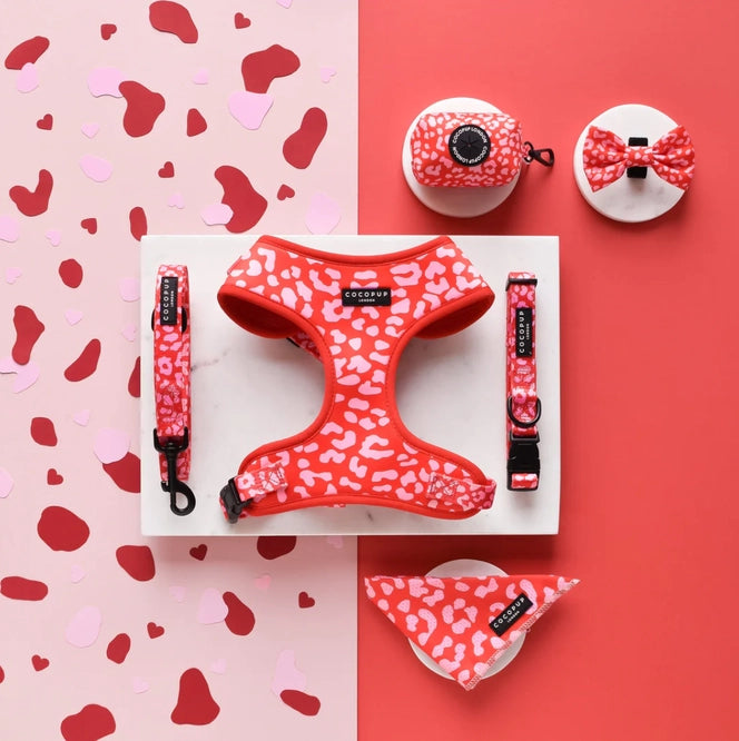 Cocopup Pink & Red Leopard Dog Collar